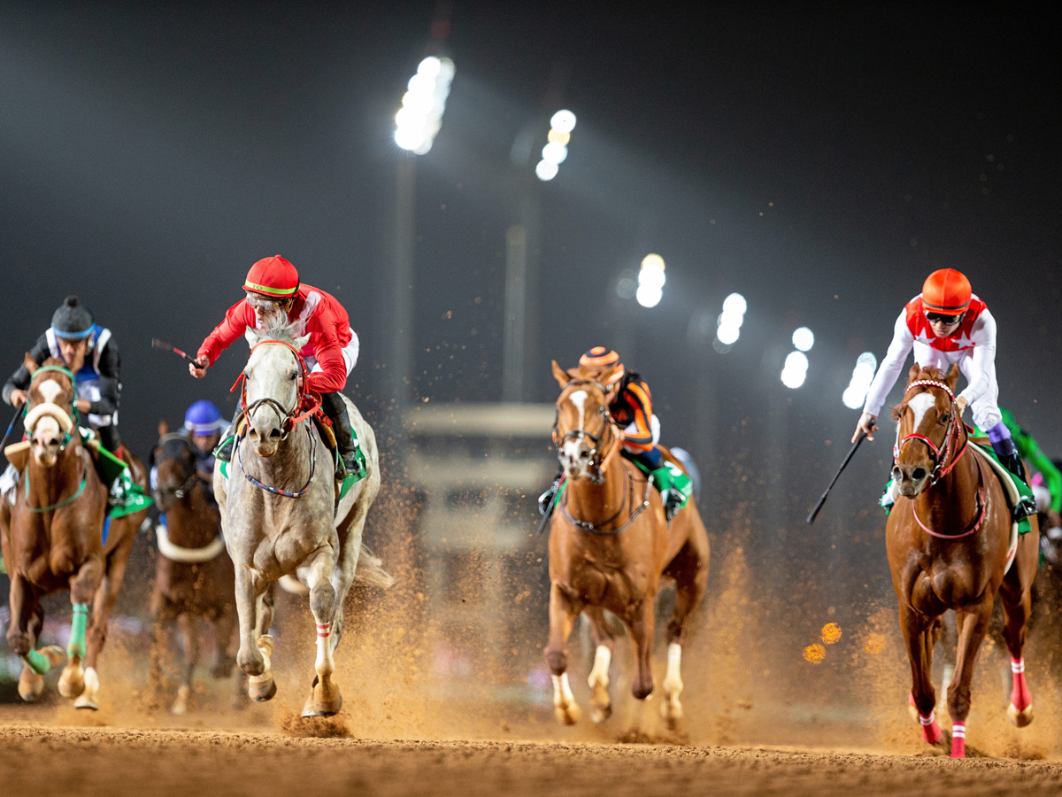 Horsepower The Saudi Cup comes to Riyadh Time Out Jeddah