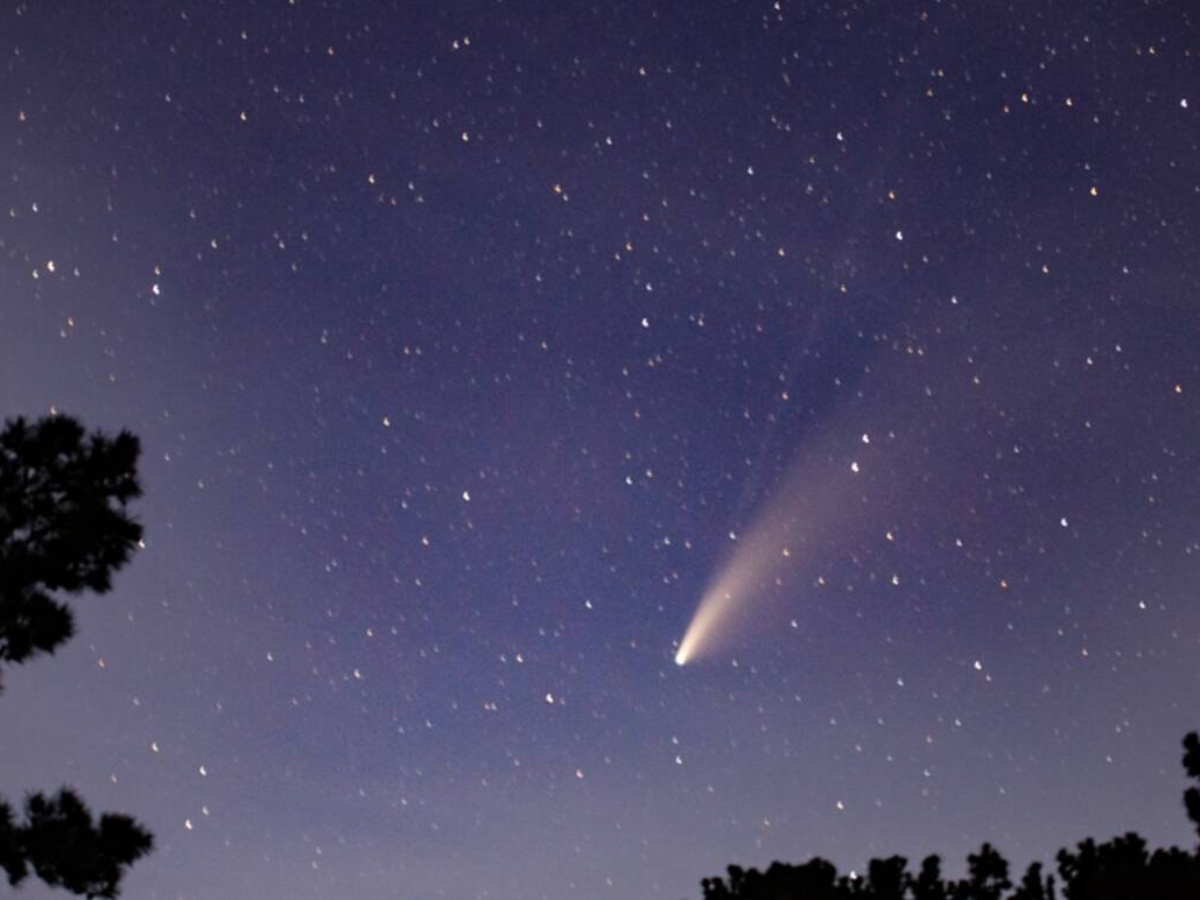 Halleys Comet 2024 Dana Milena